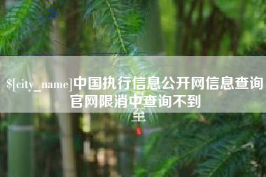 文山中国执行信息公开网信息查询官网限消中查询不到