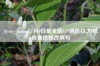 文山11月9日是全国119消防日,为积极推进修改病句
