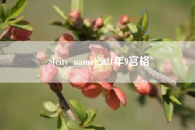 文山2021年9宫格