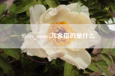 文山九金指的是什么