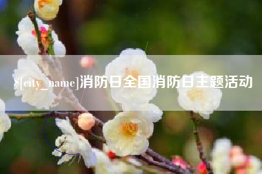 文山消防日全国消防日主题活动