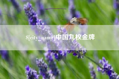 文山中国九枚金牌