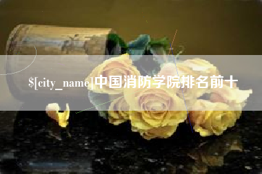 文山中国消防学院排名前十