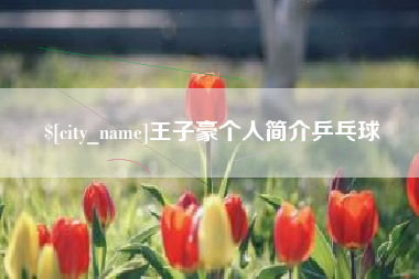文山王子豪个人简介乒乓球