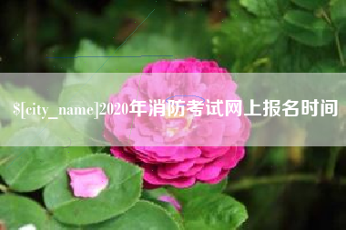 文山2020年消防考试网上报名时间
