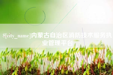 文山内蒙古自治区消防技术服务执业管理平台