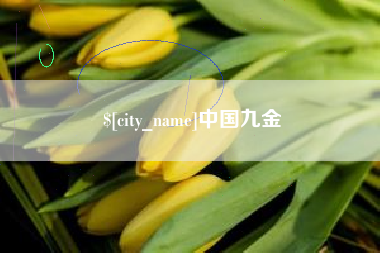 文山中国九金