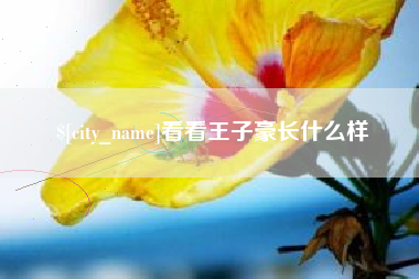 文山看看王子豪长什么样