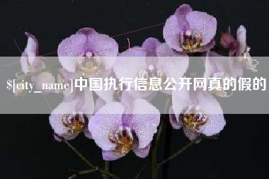文山中国执行信息公开网真的假的