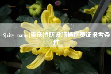 文山重庆消防设施操作员证报考条件