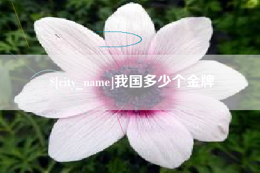 文山我国多少个金牌