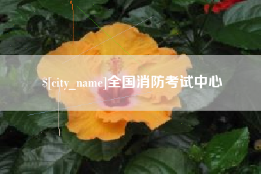 文山全国消防考试中心