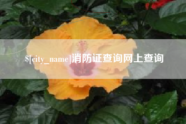 文山消防证查询网上查询