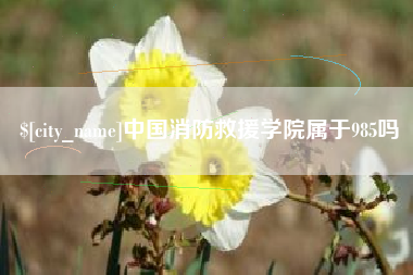 文山中国消防救援学院属于985吗