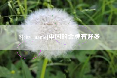 文山中国的金牌有好多