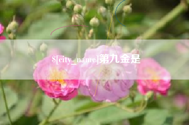 文山第九金是
