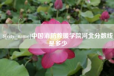 文山中国消防救援学院河北分数线是多少