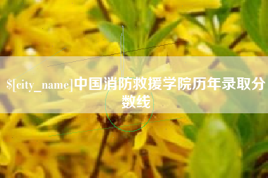 文山中国消防救援学院历年录取分数线