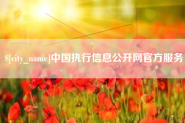 文山中国执行信息公开网官方服务
