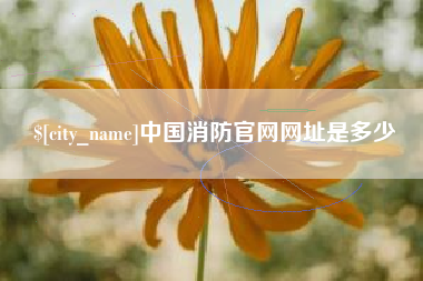 文山中国消防官网网址是多少