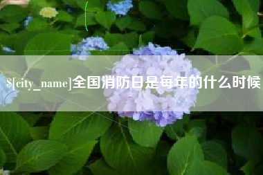文山全国消防日是每年的什么时候