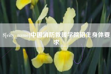 文山中国消防救援学院招生身体要求