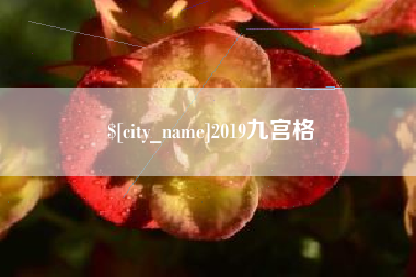 文山2019九宫格