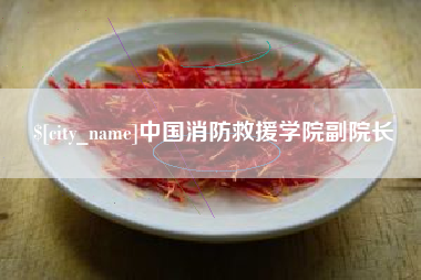 文山中国消防救援学院副院长
