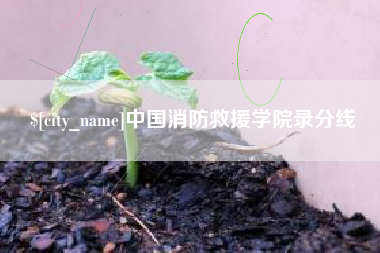 文山中国消防救援学院录分线