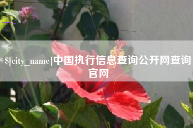 文山中国执行信息查询公开网查询官网