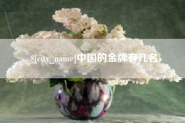 文山中国的金牌有几名