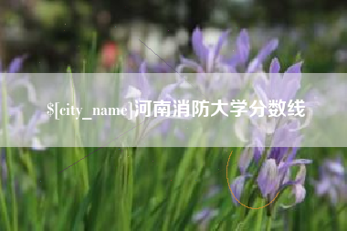 文山河南消防大学分数线
