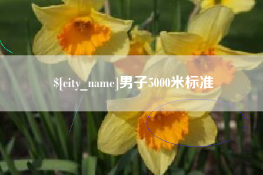 文山男子5000米标准