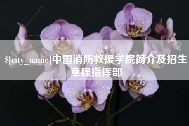 文山中国消防救援学院简介及招生章程指挥部