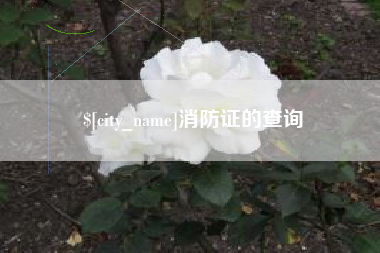 文山消防证的查询