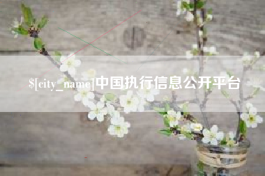 文山中国执行信息公开平台