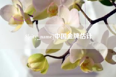 文山中国金牌估计