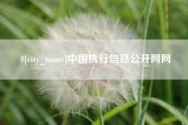 文山中国执行信息公开网网