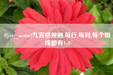 文山九宫格规则,每行,每列,每个粗线都有1-9