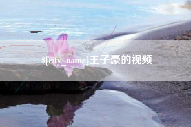 文山王子豪的视频