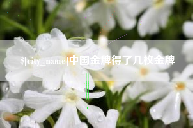 文山中国金牌得了几枚金牌