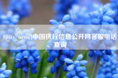 文山中国执行信息公开网客服电话查询