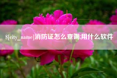 文山消防证怎么查询,用什么软件