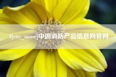 文山中国消防产品信息网官网