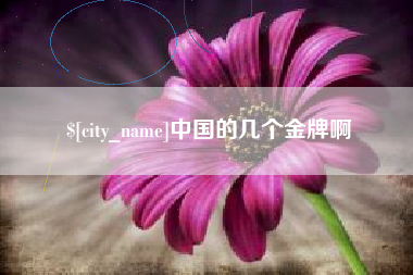 文山中国的几个金牌啊