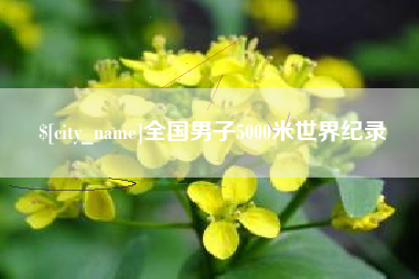 文山全国男子5000米世界纪录