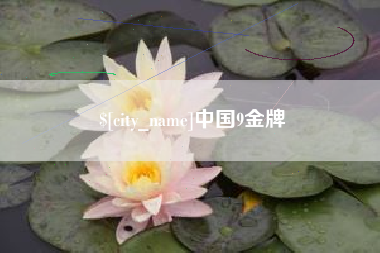 文山中国9金牌