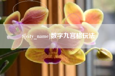文山数字九宫格玩法
