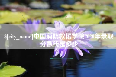 文山中国消防救援学院2020年录取分数线是多少