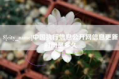 文山中国执行信息公开网信息更新时间是多久